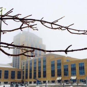 Hopes are high ahead of N.L. budget, as groups look for action on taxes, health care and more