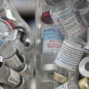 How likely is it that we'll need a hantavirus vaccine? And other questions answered by an epidemiologist