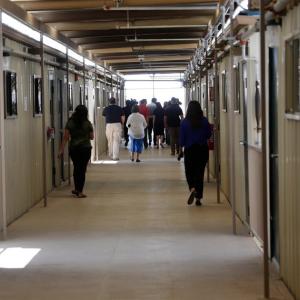 ICE halts 'all movement' at Texas 'detention facility' due to measles