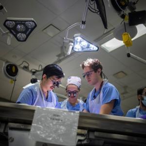 Inside a university anatomy lab where researchers study bodies Canadians have donated to science