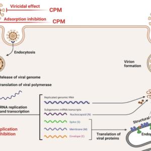Intranasal Chlorpheniramine for Early Symptomatic Treatment of COVID-19 and the Impact on Long-COVID