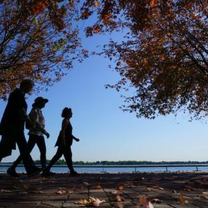 'Japanese walking' a fun way for some to boost their health