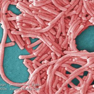 Legionnaires' disease outbreak in London, Ont., declared over: health unit