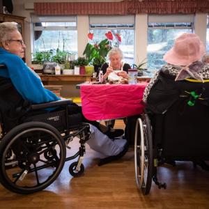 Life expectancy in Canada nearly back to pre-pandemic levels: StatCan