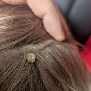 Merritt father warns others after medical emergency involving his young son