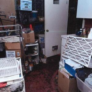 Mom, 96, left in filthy Toronto home was 'petrified' of going to hospital, testifies daughter, 73, on trial for criminal negligence causing death