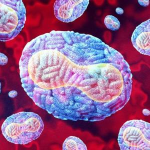 Mpox infections may outnumber diagnosed cases 33 to 1, study suggests