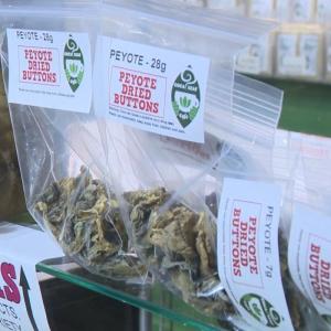 New clinical trial in Ontario uses magic mushrooms to treat anxiety
