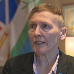 N.L. doctor recruitment program was defrauded $450K, but minister remains committed to bonuses