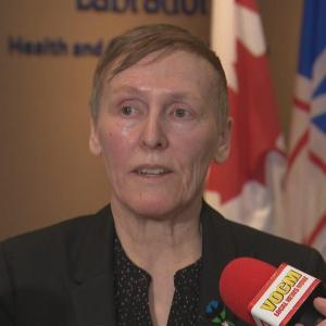 N.L. health minister calls new details of travel nurse agency billings 'egregious'