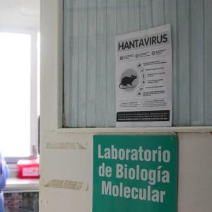 'No indication' Andes strain of hantavirus has mutated: EU agency