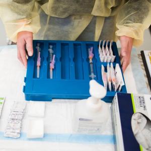 Northern nurses' body splits into two groups with differing roles