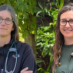 Ontario doctors raise flags over quality of in-home nursing care for dying patients