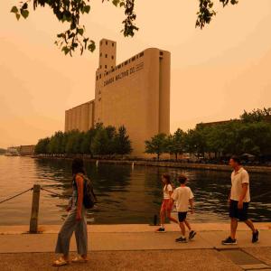 Wildfires in Ontario make Toronto air quality worst in world