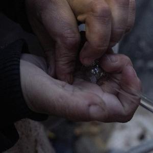 Overdoses in Toronto have almost doubled since last January