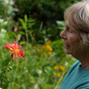 Pay or drive all day? Elderly eye patients in rural areas forced to make difficult choice