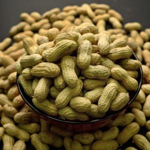 Peanut allergies are plummeting in children, and you can thank science