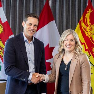 P.E.I. health minister says provinces working on 'Maritime unit' to replace travel nurse companies