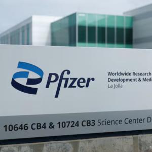 Pfizer valneva lyme disease shot shows more than 70 efficacy late stage trial