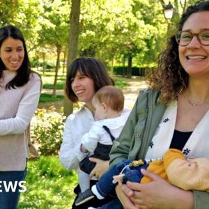 Pregnant women's brains shed grey matter to prime them for motherhood, study suggests