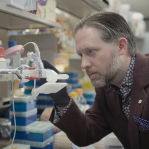 Promising results from Phase 1 human trials of McMaster's inhaled COVID-19 vaccine