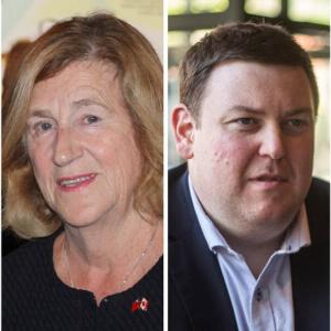 Provinces working on MAID expansion readiness, but availability of mental health care a concern, Health Canada ADM tells MPs and Senators