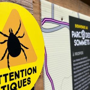 Record-high Montreal Lyme disease cases prompt warning from public health
