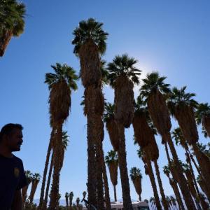 Record-smashing heat spreads: 'Basically the entire US is going to be hot'