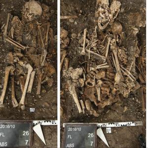 Researchers draw historical parallels between victims of bubonic plague and COVID-19