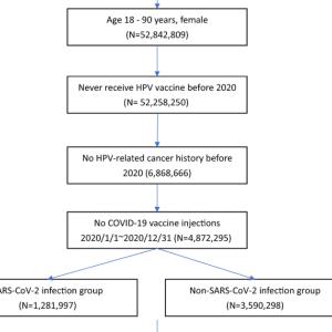 SARS-CoV-2 infection heightens the risk of developing HPV-related carcinoma in situ and cancer