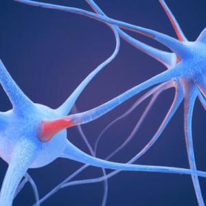 Scientists identify 'neural fingerprint' of psychedelic drugs in the brain