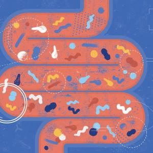 Scientists search the microbiome for clues to the rise in colorectal cancers