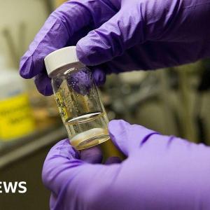 Single vaccine could protect against all coughs, colds and flus, researchers say