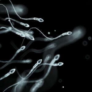Sperm donor with rare cancer mutation fathered nearly 200 children in Europe