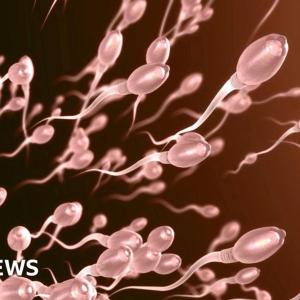 Sperm swim more quickly in summer, study finds