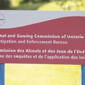 Study finds sharp rise in young men contacting Ontario gambling helpline