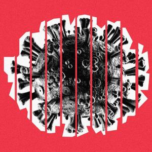 Surprising MERS coronavirus cases discovered in France