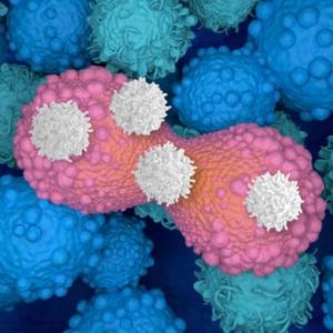 The emerging cancer treatment that's exciting scientists: 'We've just scratched the surface on what's possible'