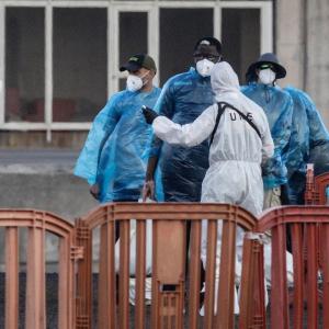 The hantavirus outbreak should be Canada's wake-up call