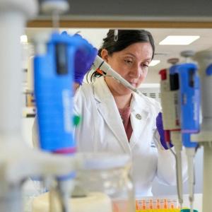 Tools to fight hantavirus show promise despite limited funding. Now researchers hope to continue