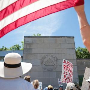 Trump budget calls for another sharp cut to NIH