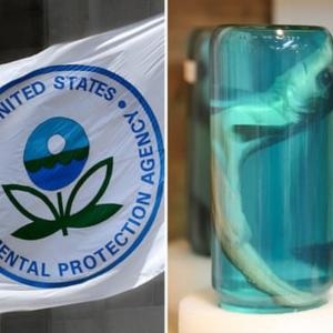 Trump EPA relied on industry science to weaken formaldehyde cancer rules, documents show