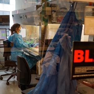 US Scientists Sequence 1,000 Genomes From Measles, a Disease Long Eliminated With Vaccines