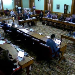 Virtual, primary care dominate N.B. legislative committee with health officials