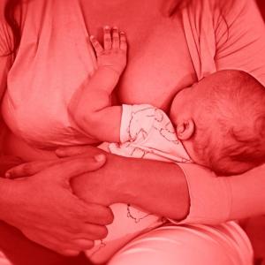 Was a Canadian baby poisoned by breast milk? Experts say no. Yet a 20-year-old case study remains influential