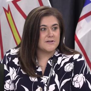 What health care services have been impacted due to the NL wildfires?