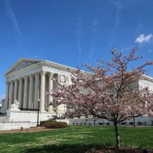 What to know about the battle over lawsuits alleging that Roundup weedkiller can cause cancer