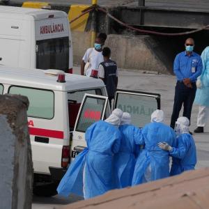 WHO confirms Andes strain of hantavirus in cruise ship passengers, with 3 transferred from ship for treatment