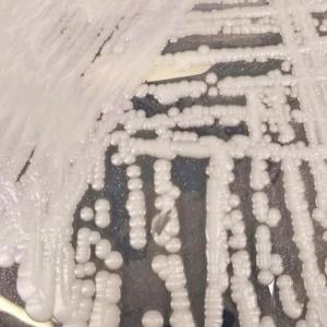 Why scientists are nervous about fungi