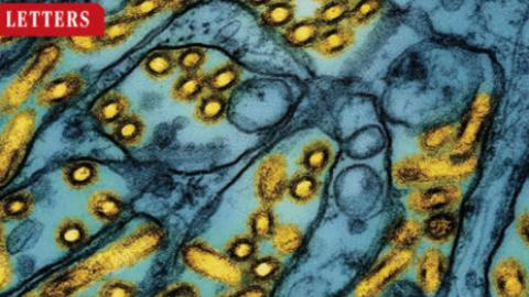 Prepare now for a potential H5N1 pandemic